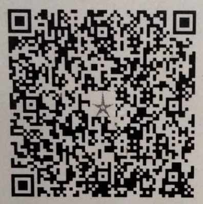 UPI QR Code